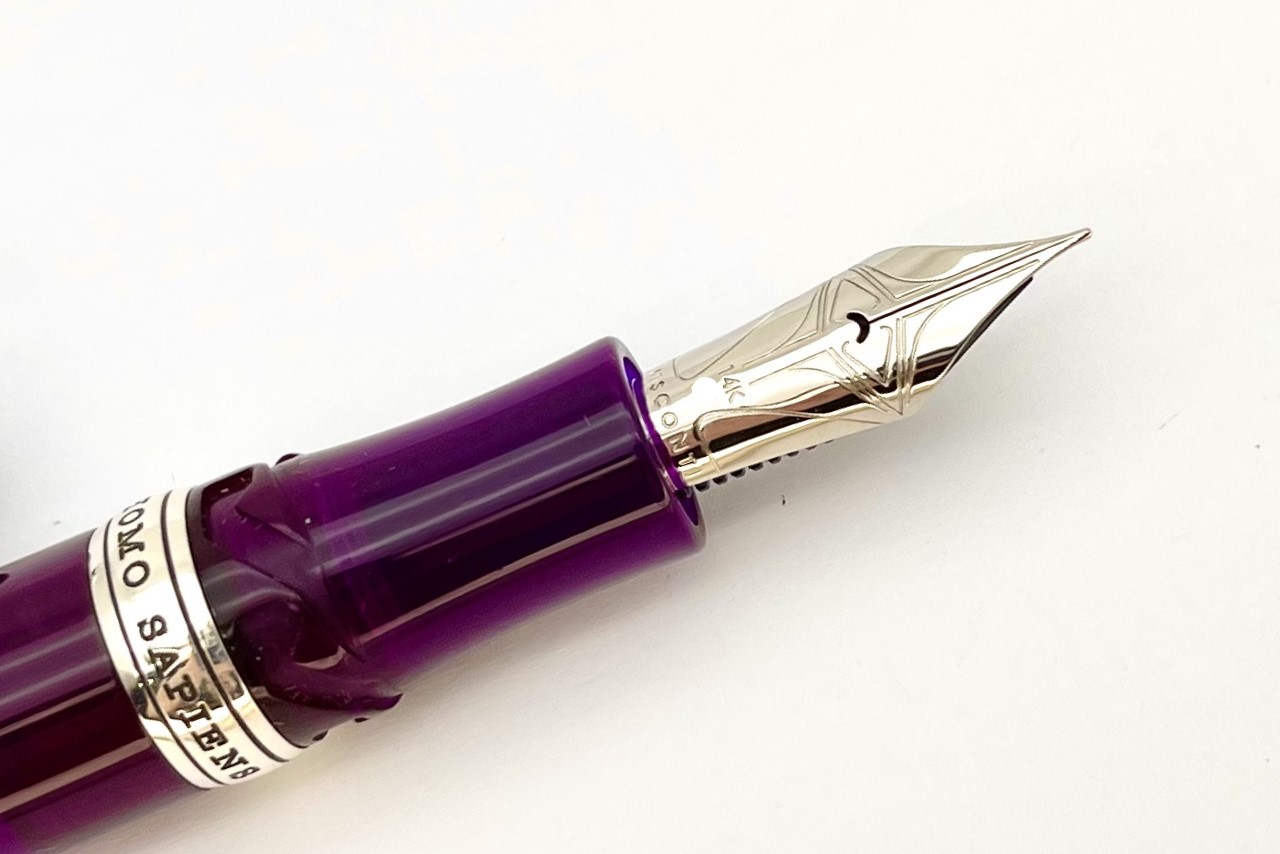 ViscontiHomoSapiensDemoStoneAmethystFountainPen_L